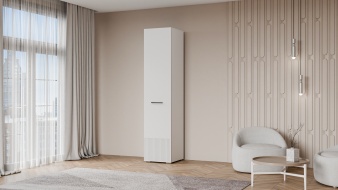 Шкаф распашной Декарт 1 BMS