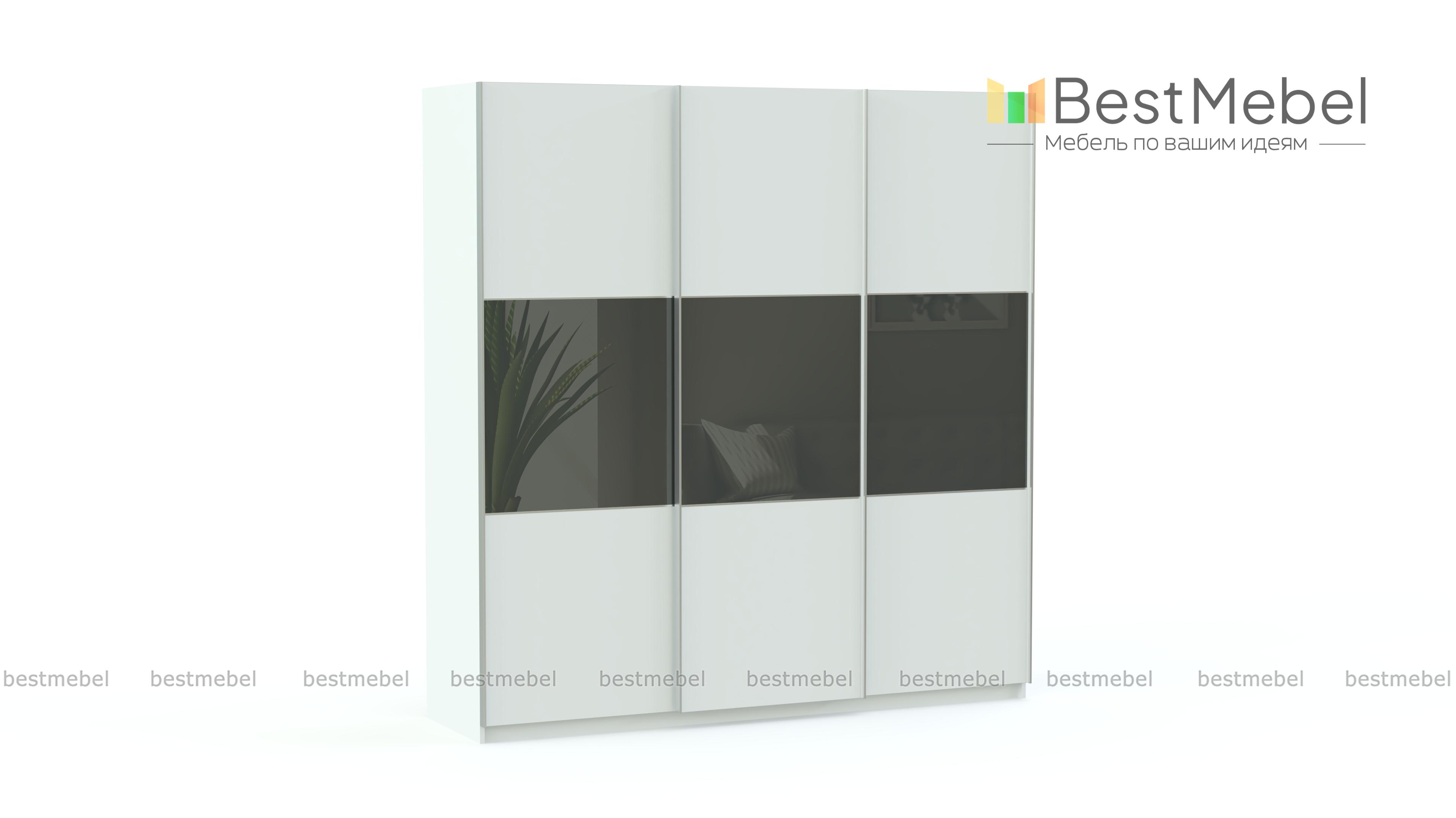 Шкаф-купе Риан 20 BMS - Фото