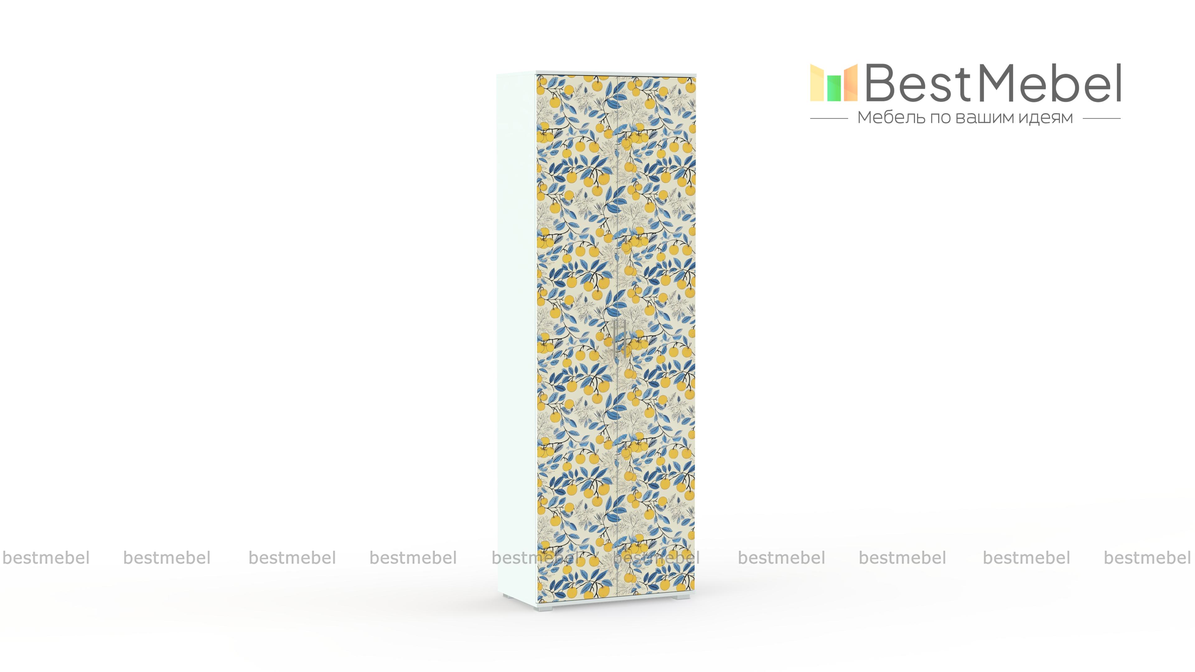 Шкаф для одежды Стиль СП-1 BMS - Фото