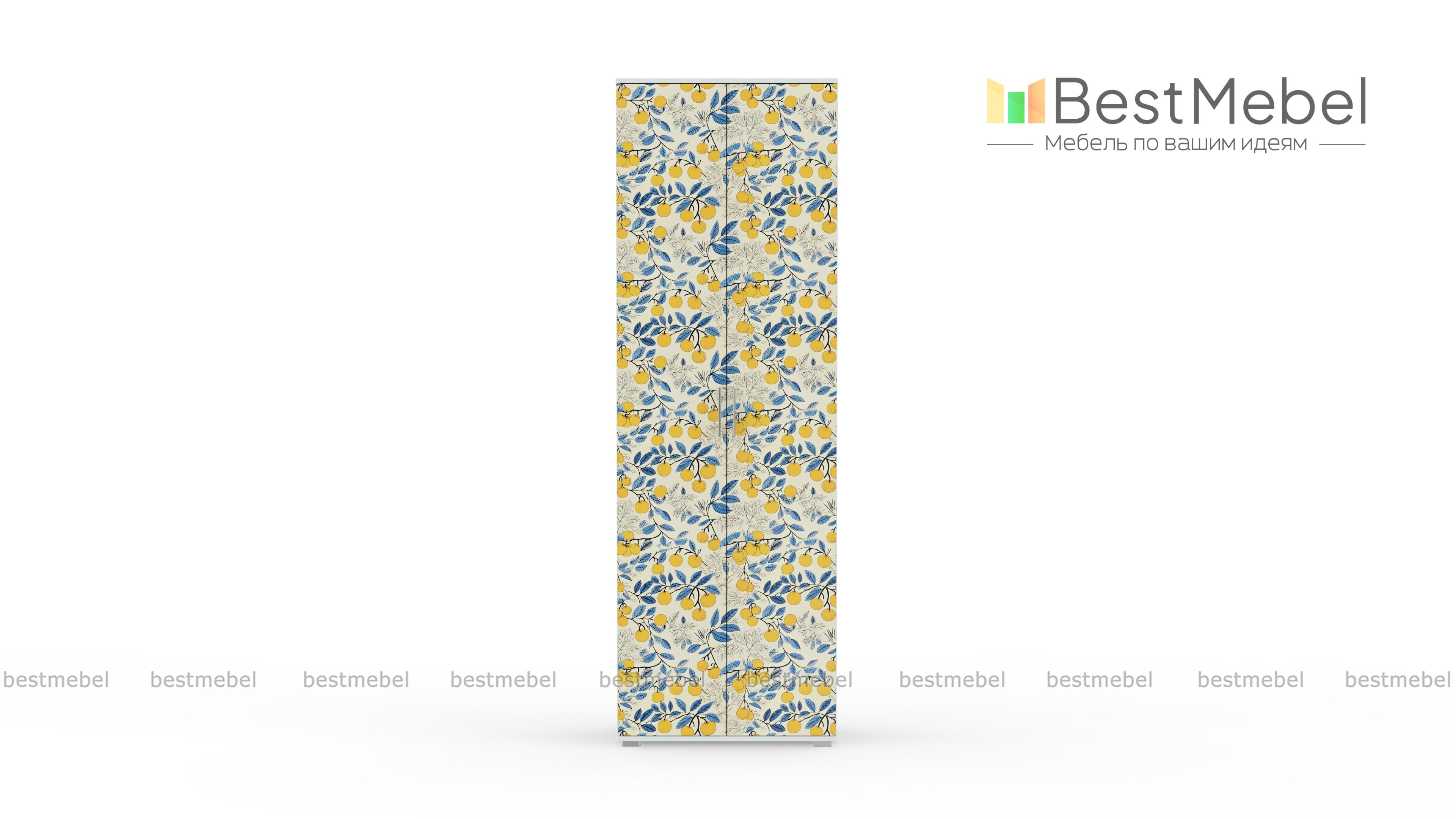 Шкаф для одежды Стиль СП-1 BMS - Фото