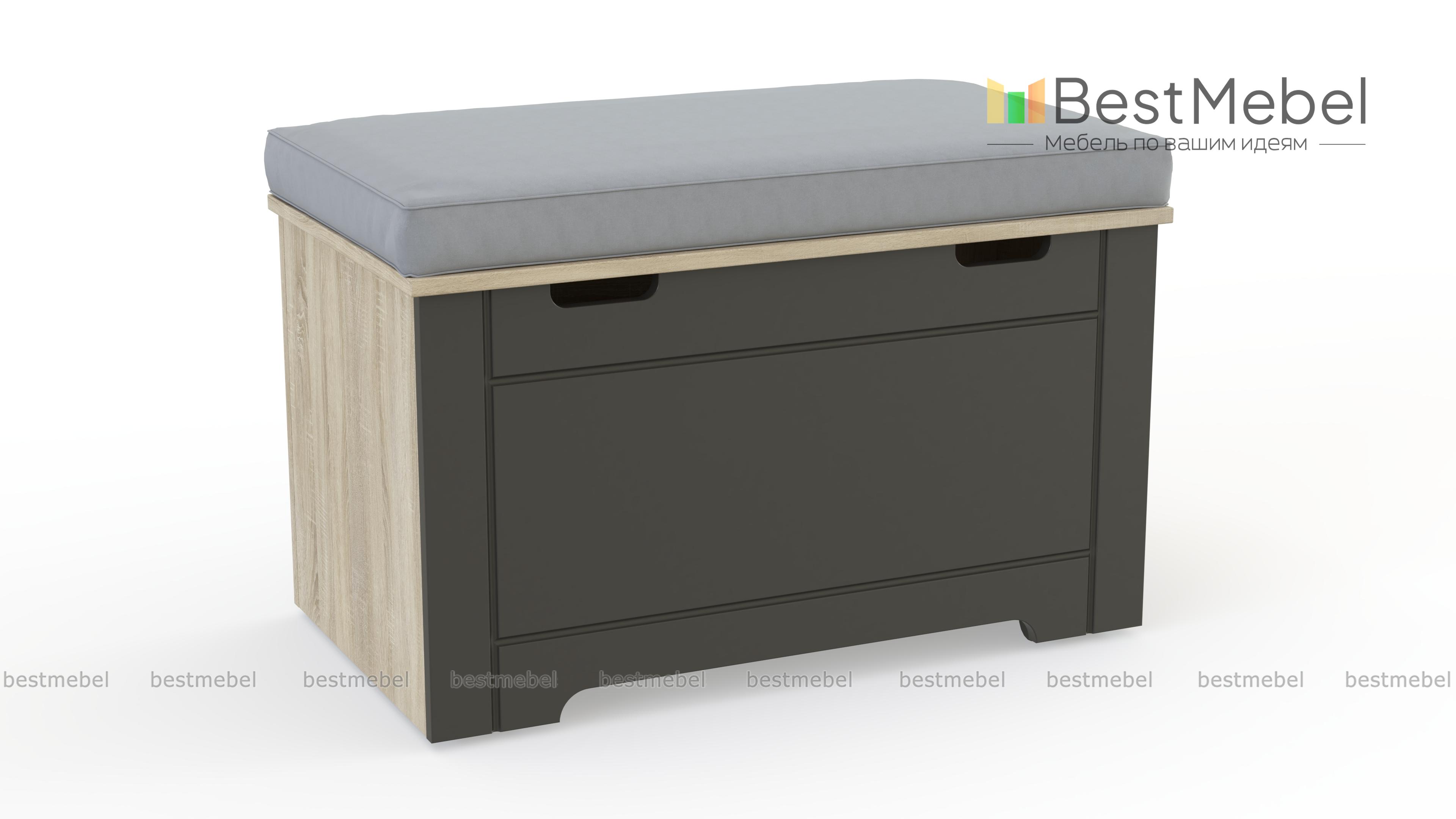 Сундук RE Vibe BMS - Фото