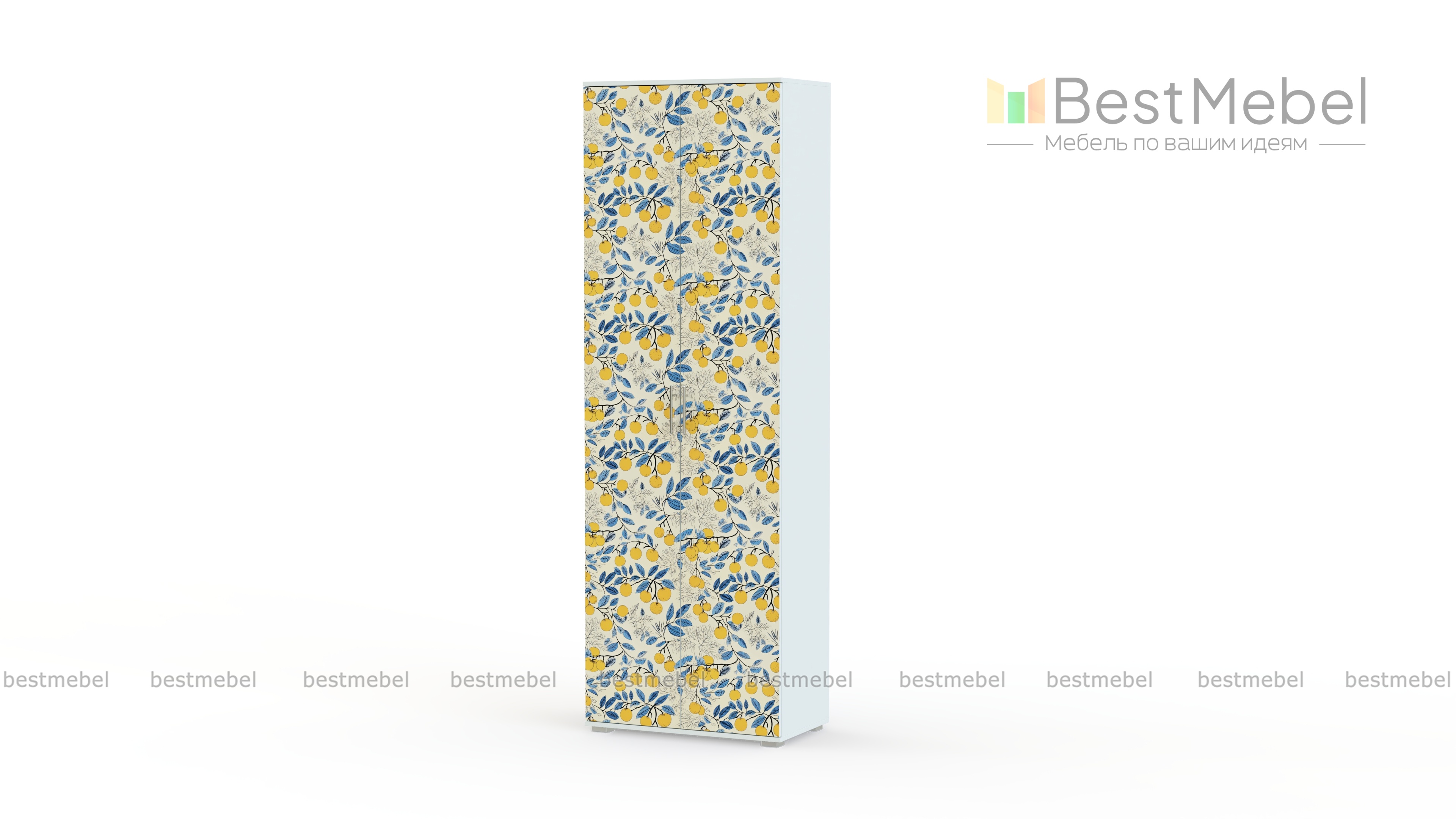 Шкаф для одежды Стиль СП-1 BMS