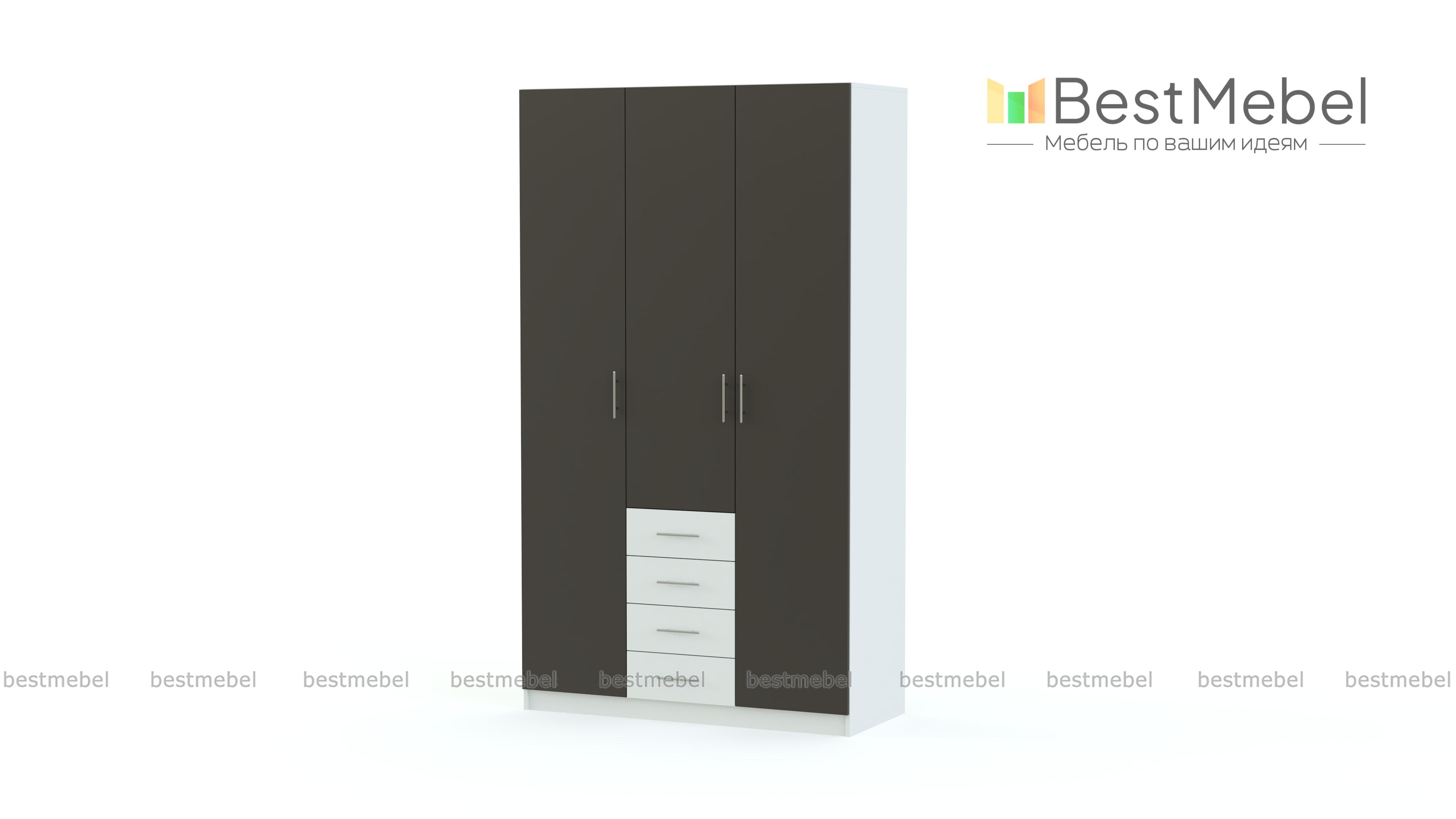 Распашной шкаф Гамма 11 BMS - Фото